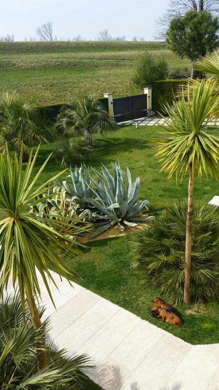 B&B "Corte San Tomaso" Legnago Exterior photo